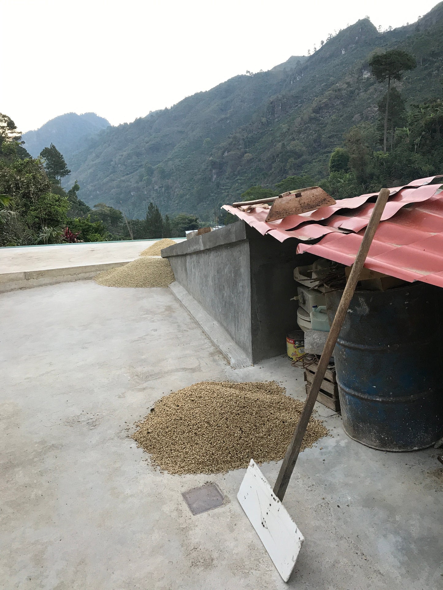 Guatemala Ayarza Natural. -SOLD OUT FOR THE MOMENT-